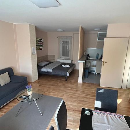 Apartament Charlie&Blueberries 1 Belgrad Zewnętrze zdjęcie