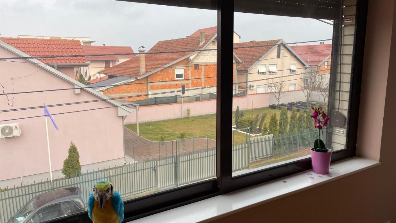 Apartament Charlie&Blueberries 1 Belgrad Zewnętrze zdjęcie