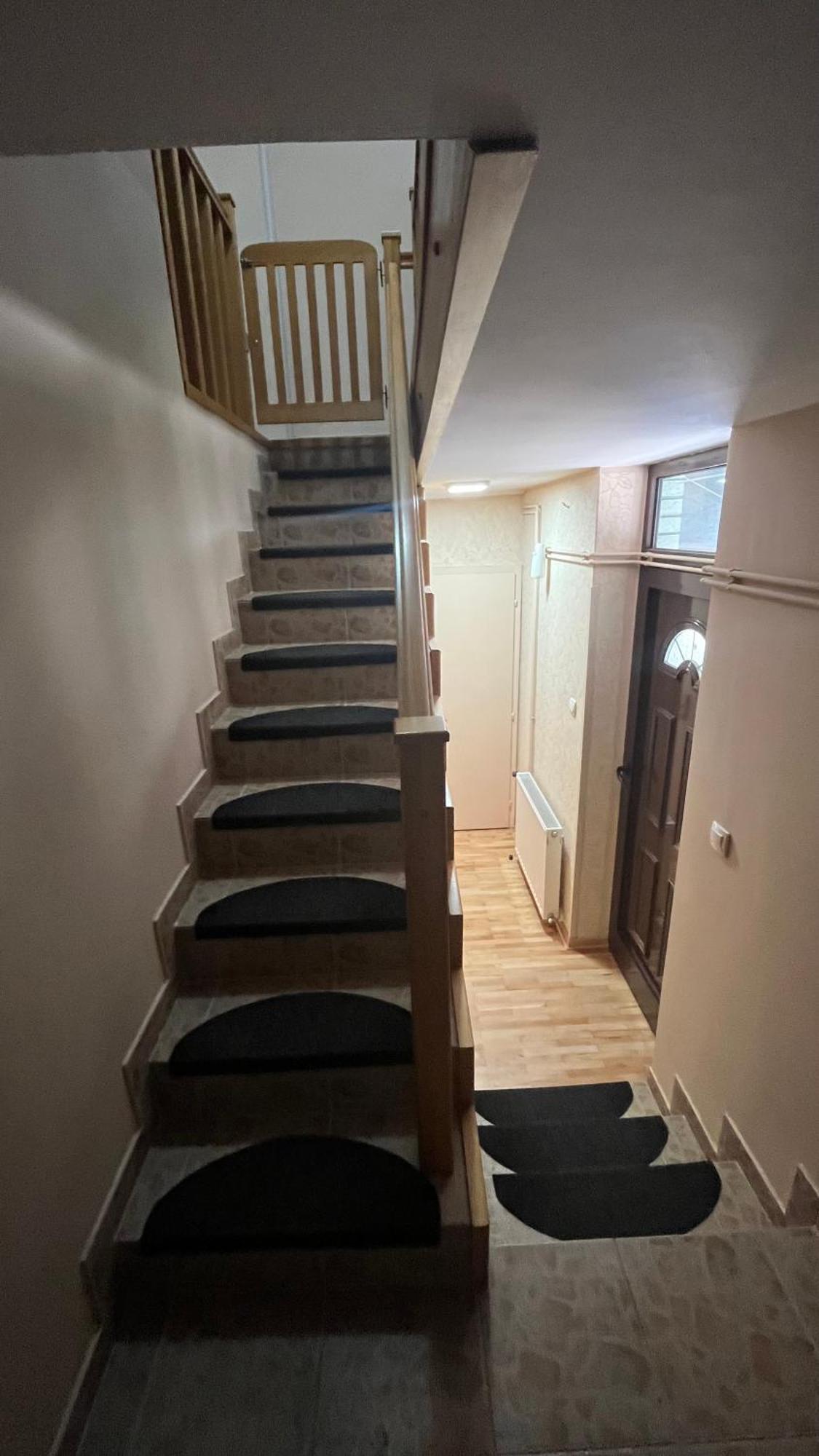 Apartament Charlie&Blueberries 1 Belgrad Zewnętrze zdjęcie